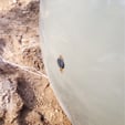 Газгольдер — фото 1